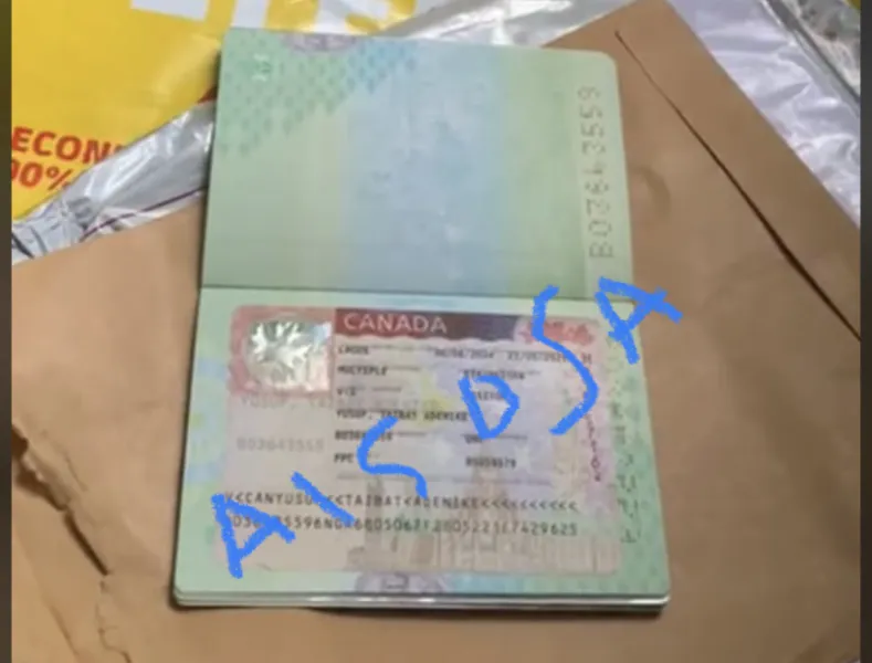 100 percent Canada, uk and Australia work visa available