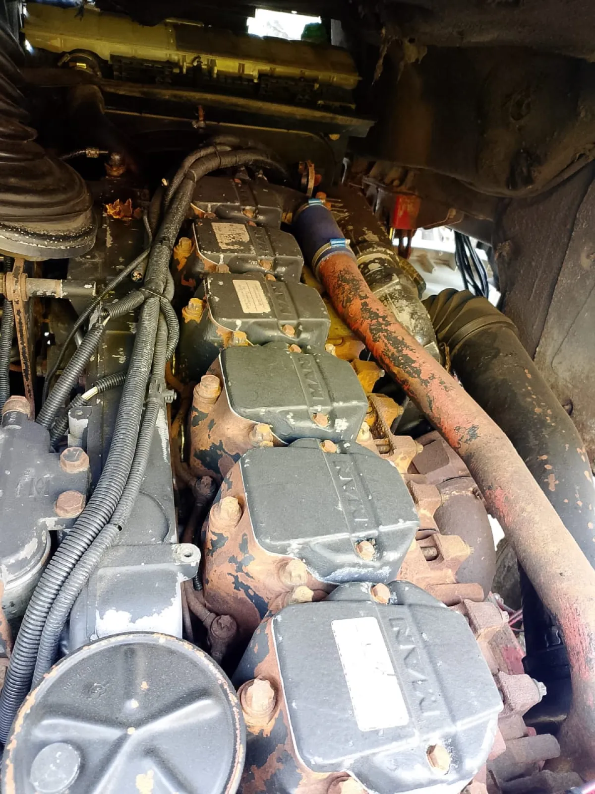 Mandisire truck - Image 3