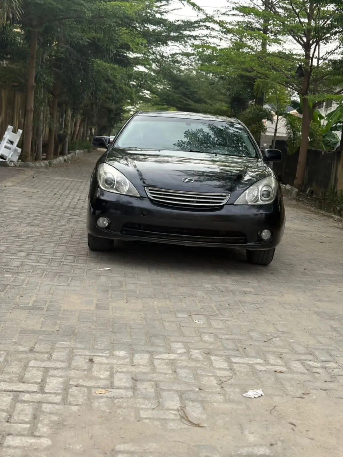 Lexus es 330 2005 black - Image 2