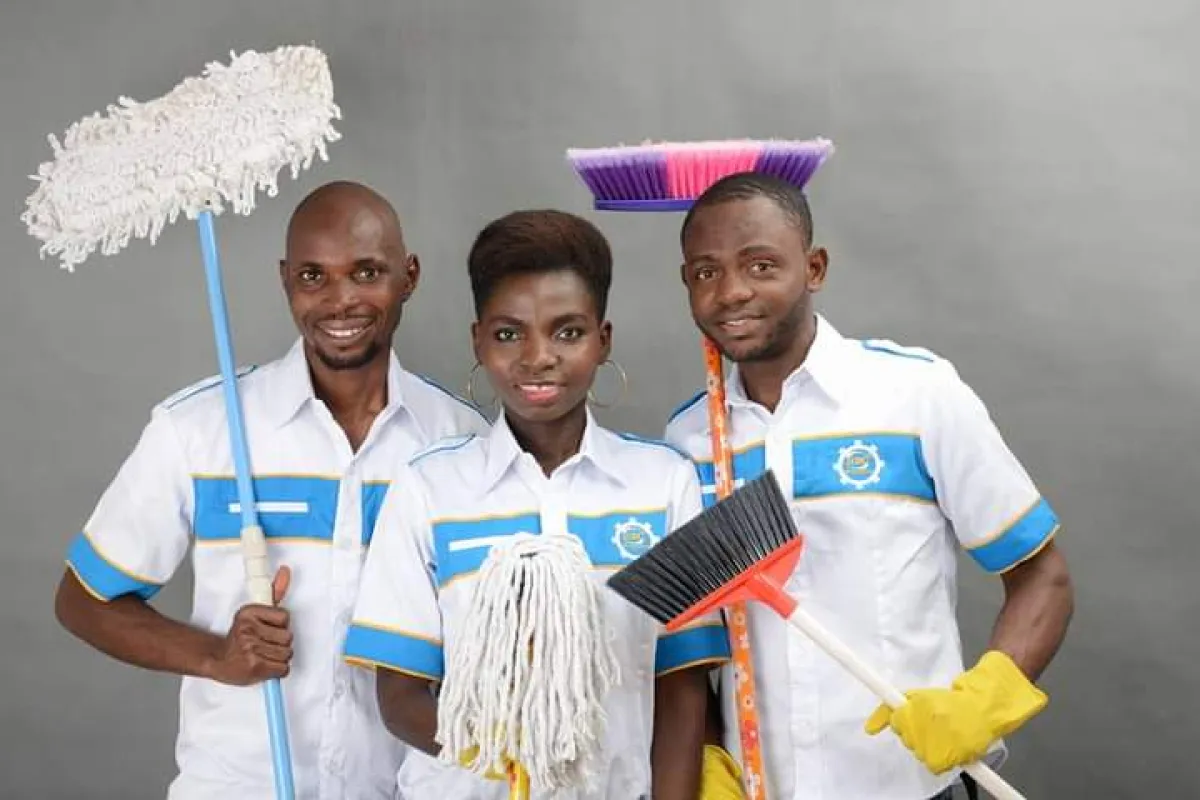 Professional Cleaning Service - Image 2