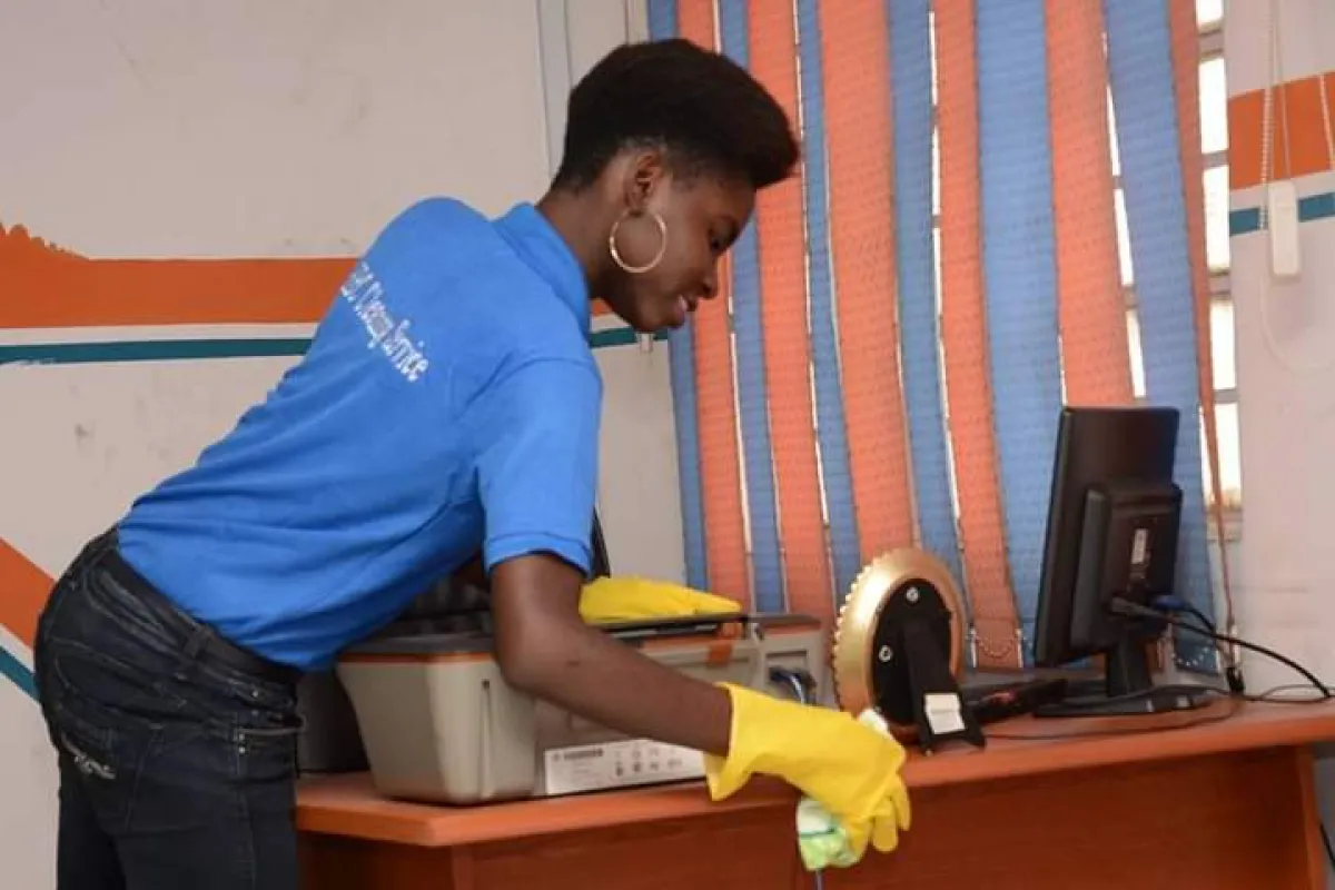 Professional Cleaning Service - Image 4