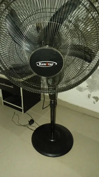 Fan