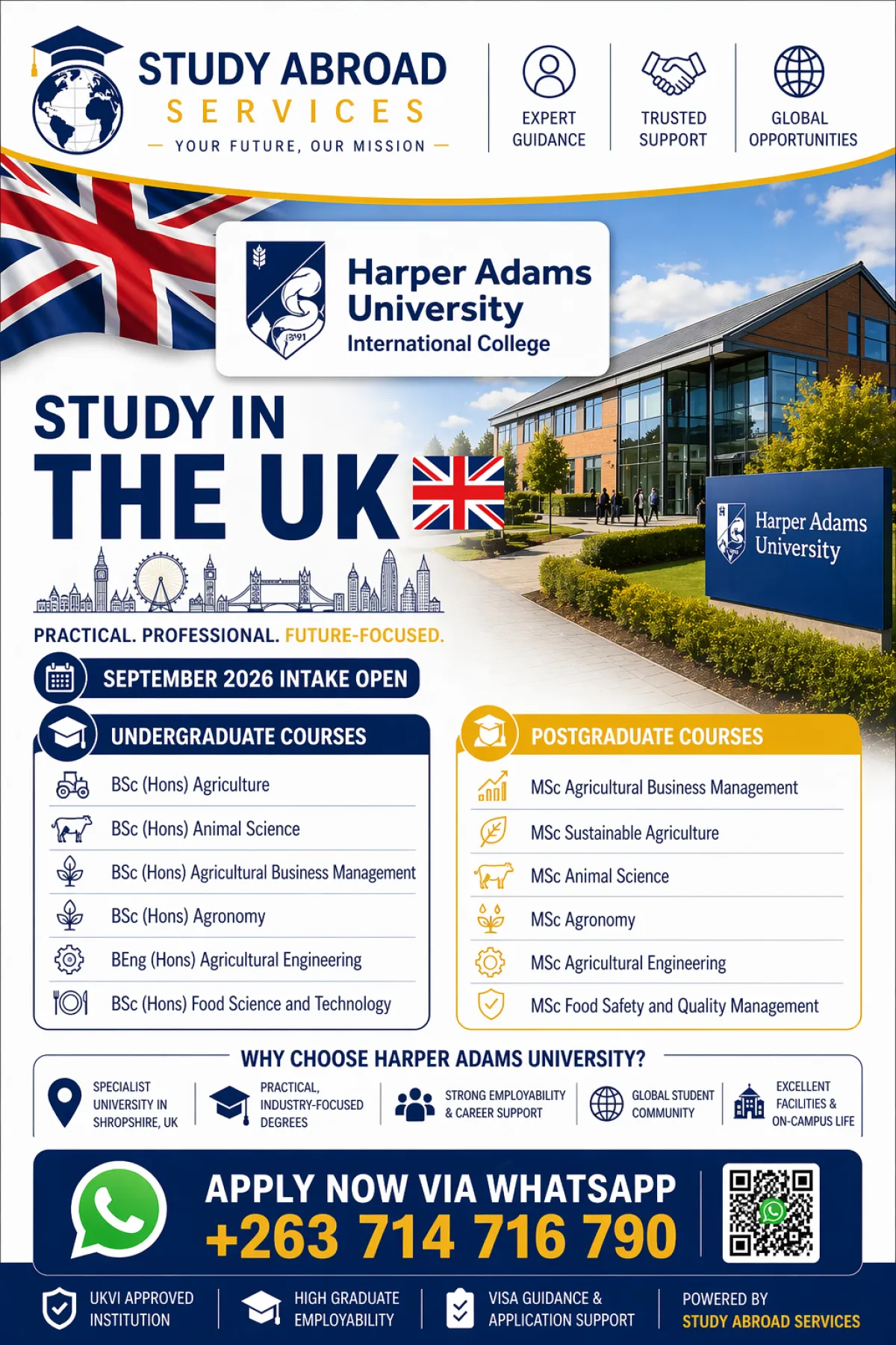 Study Abroad - Image 5