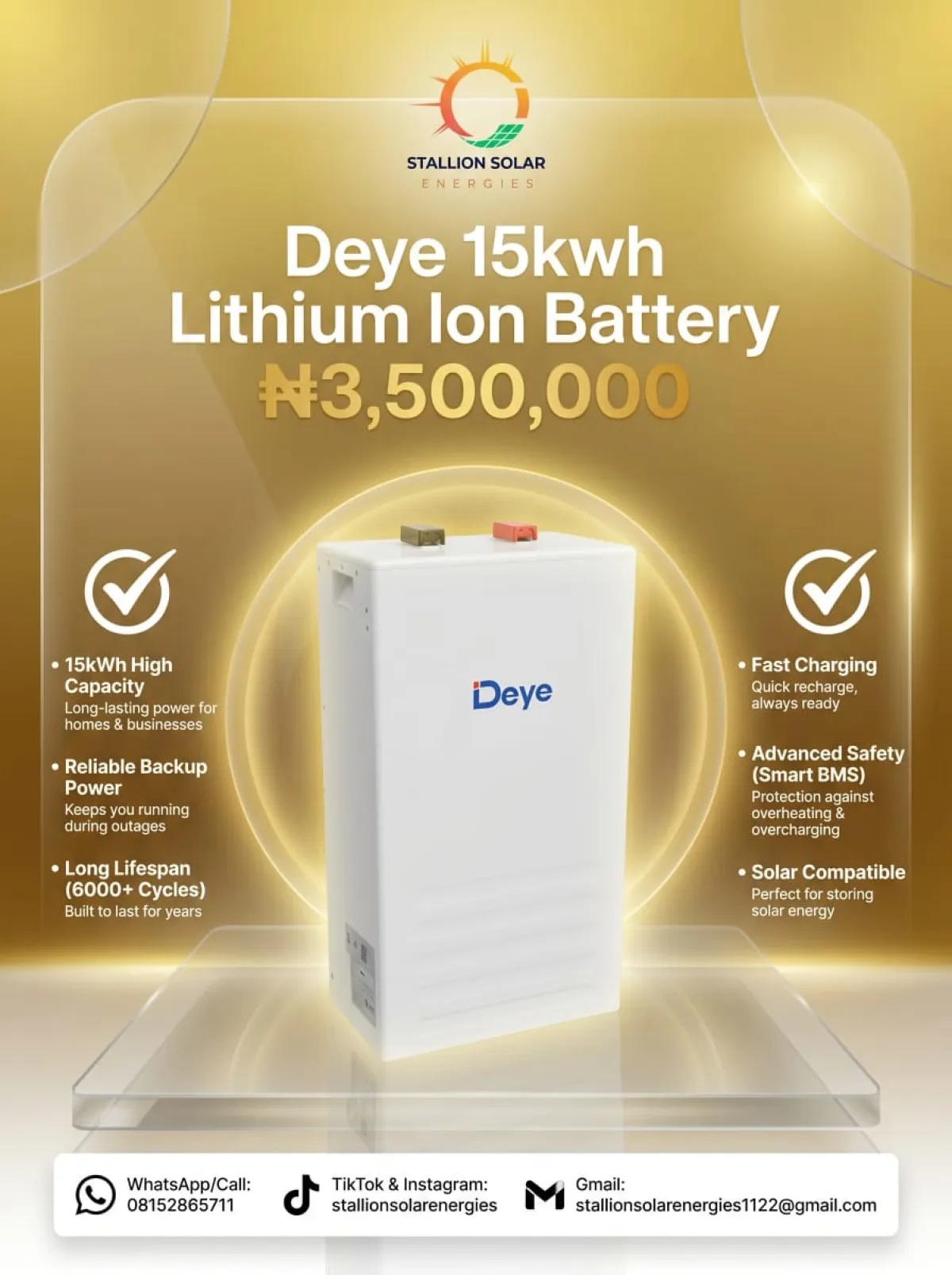 Deye 15kwh Battery - Image 3