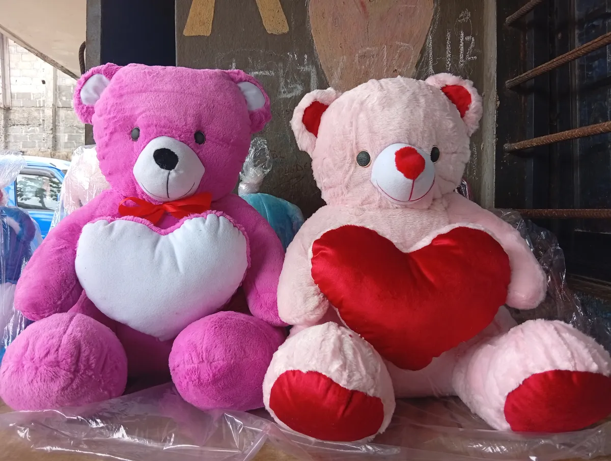 Beautiful Teddy bears - Image 1