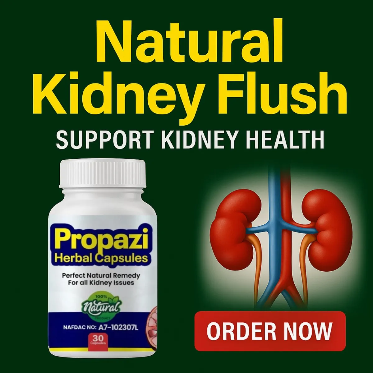 Propazi Herbal Capsule - Image 6