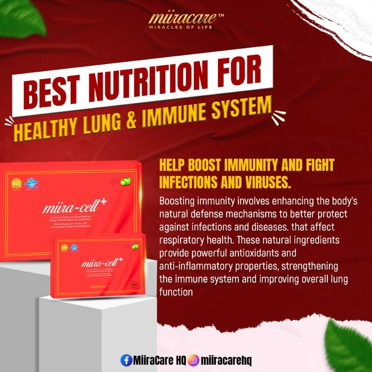 Miiracell Plus | Stem Cell Support Supplement - Image 5