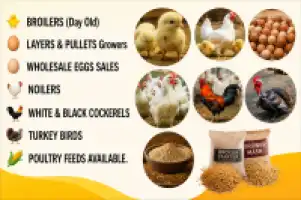 ADONAI PRODUCE