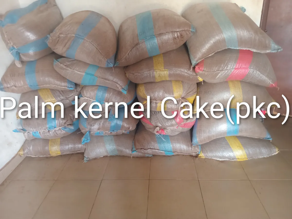 PkC (palm kernel cake) - Image 1