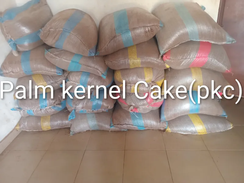 PkC (palm kernel cake)