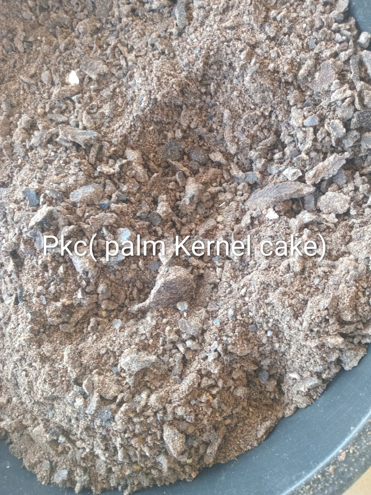 PkC (palm kernel cake) - Image 2