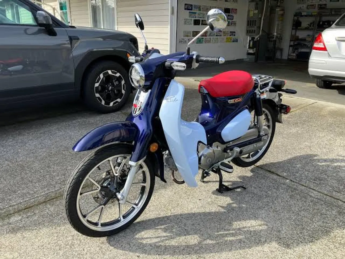 Honda cub - Image 1