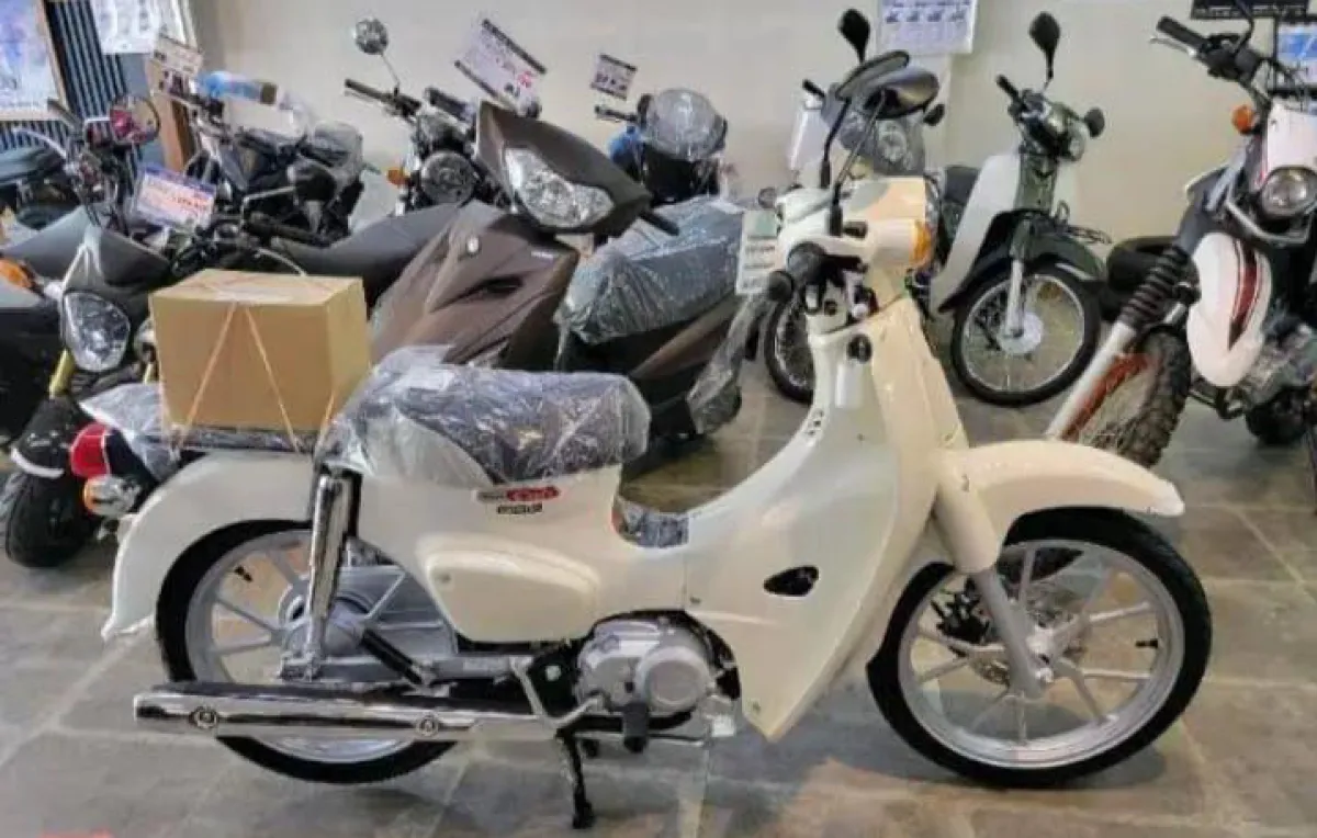Honda cub - Image 2