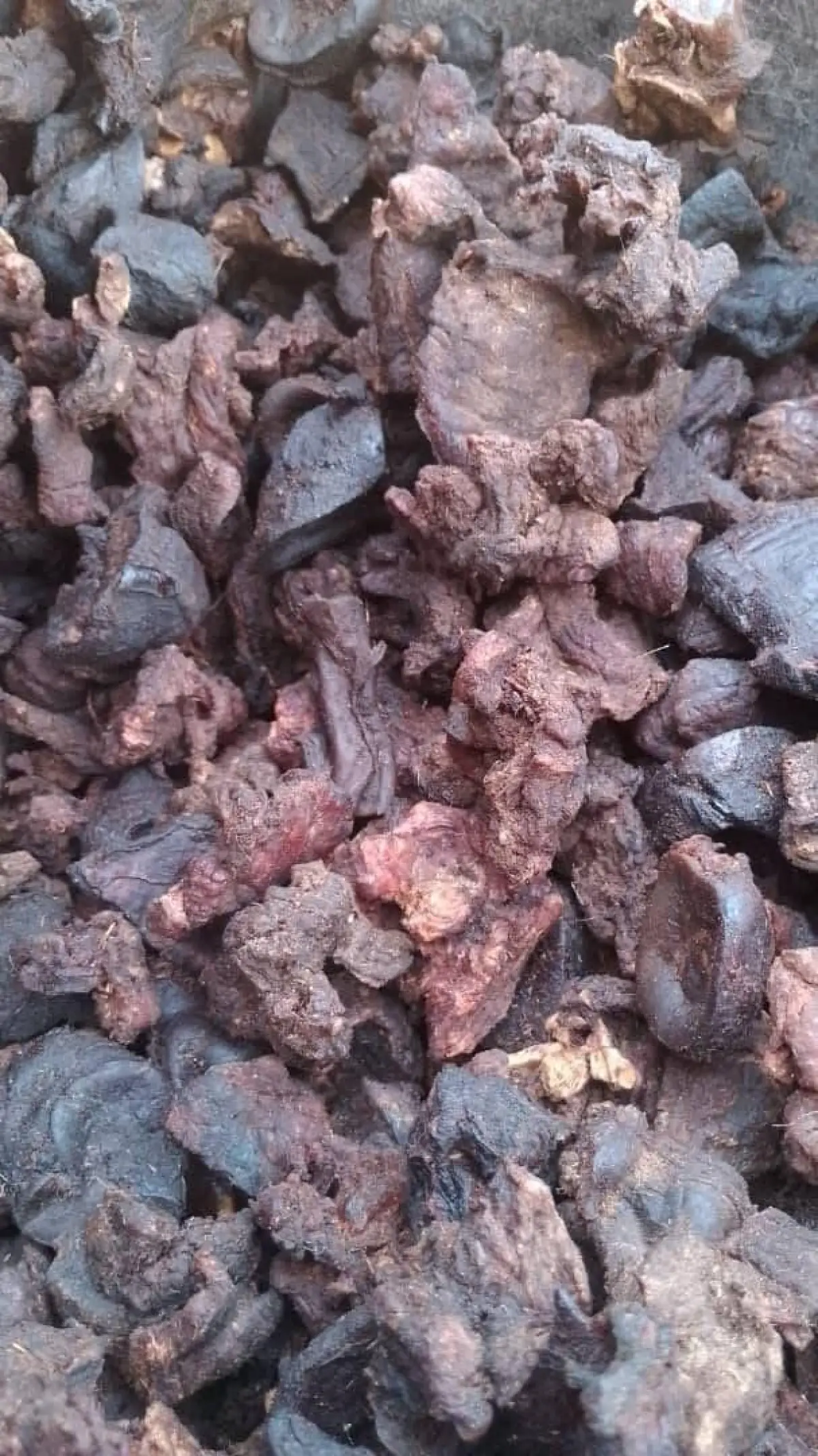 Tinko ( 100 Pieces Dried Cow Meat) - Image 2