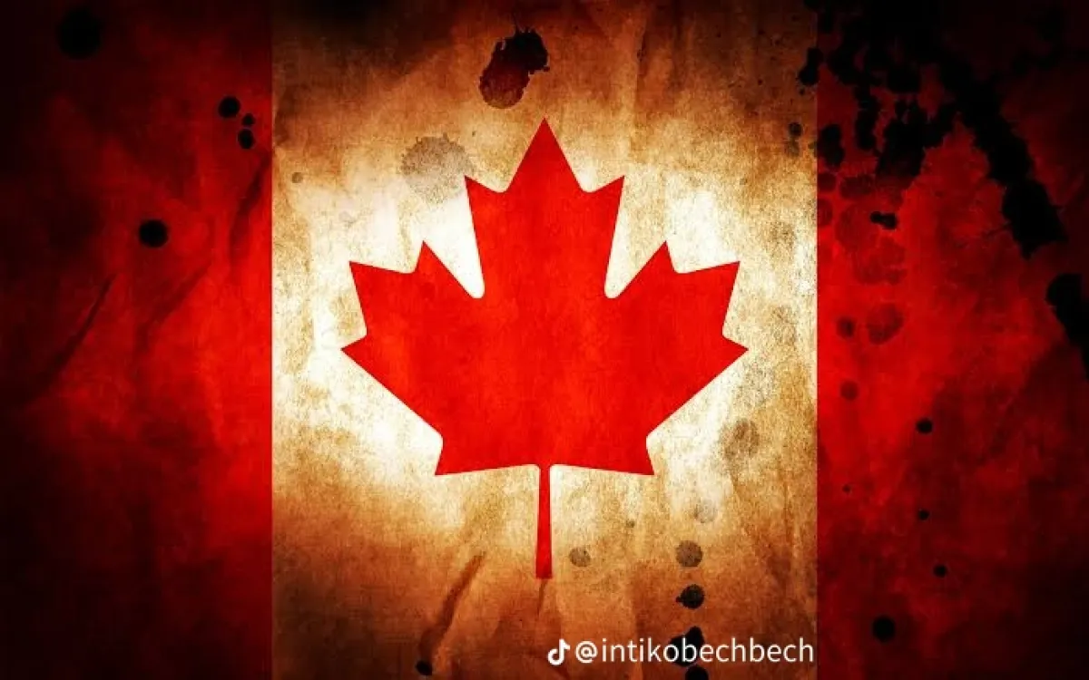 Canada Work Permit Visa - Image 1