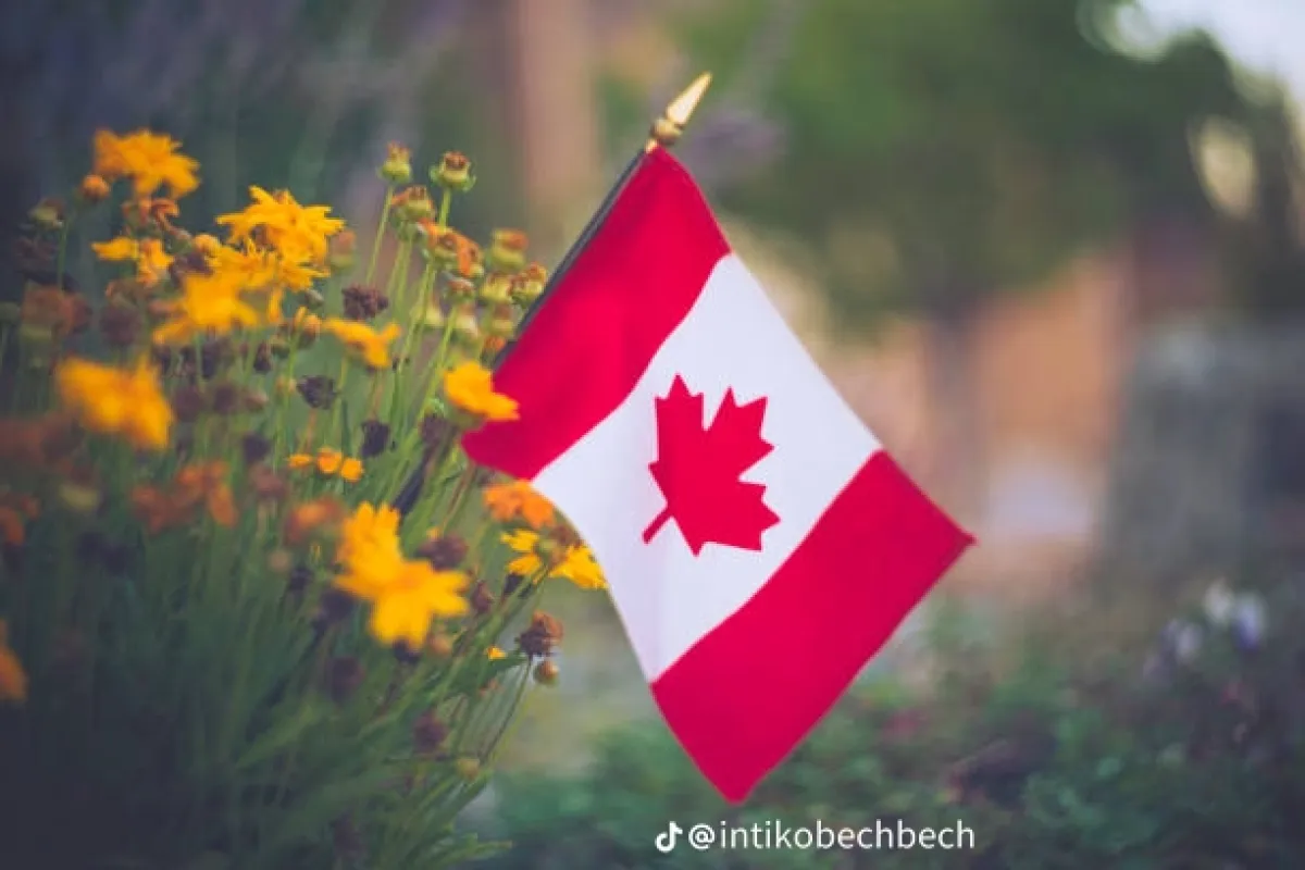 Canada Work Permit Visa - Image 2