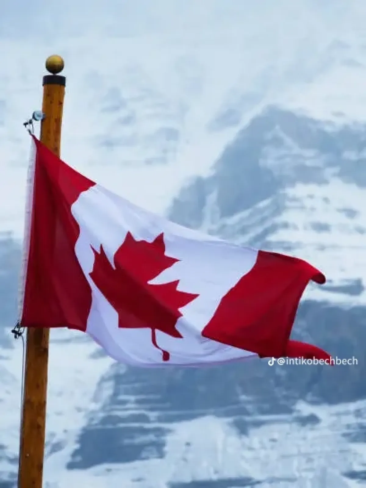 Canada Work Permit Visa - Image 3
