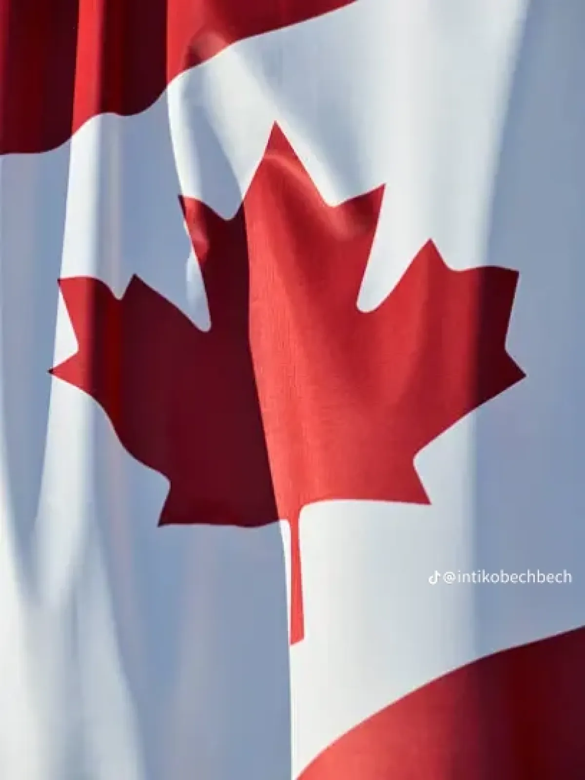 Canada Work Permit Visa - Image 4
