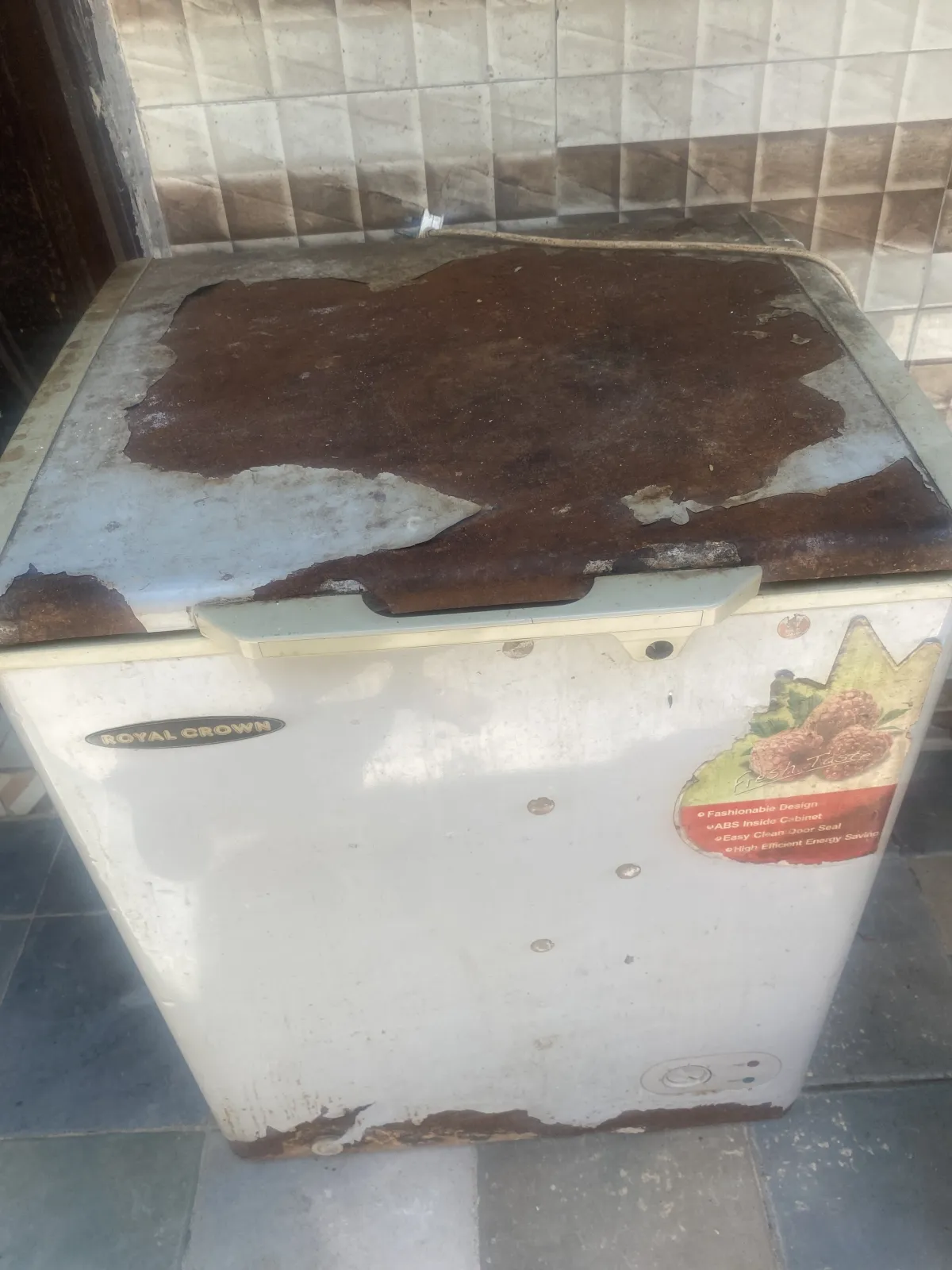 A working freezer, freezing very well and retaining cold for days - Image 1