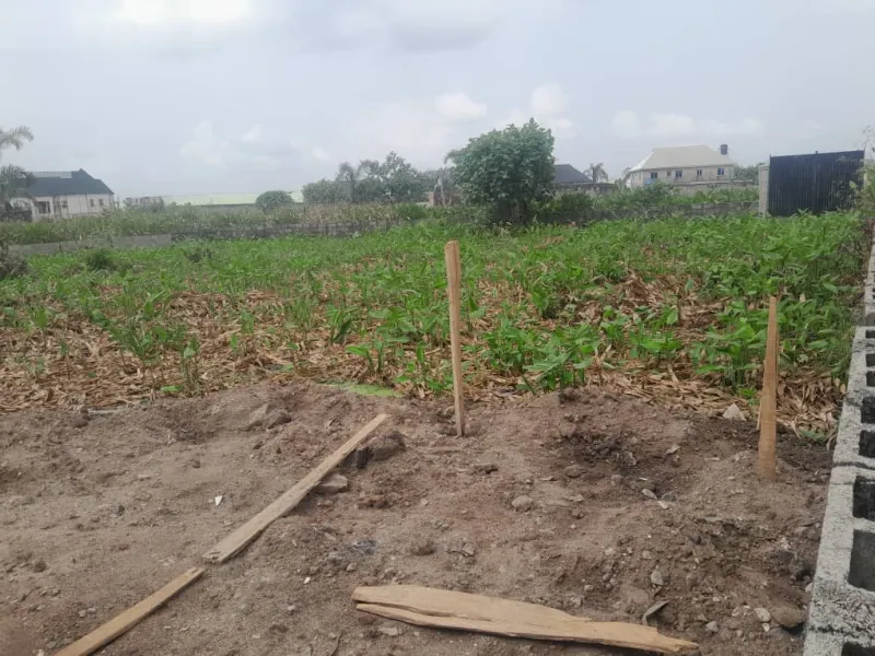 600sqm land