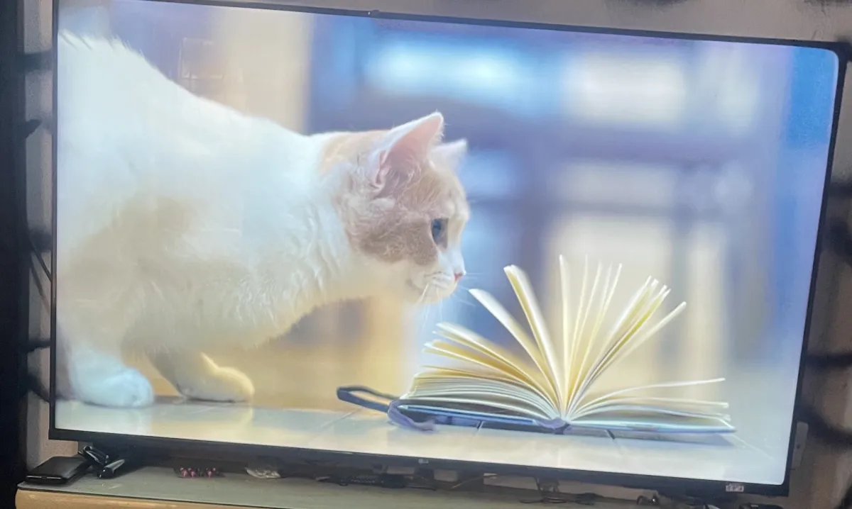 LG smart TV (55 inches) - Image 2