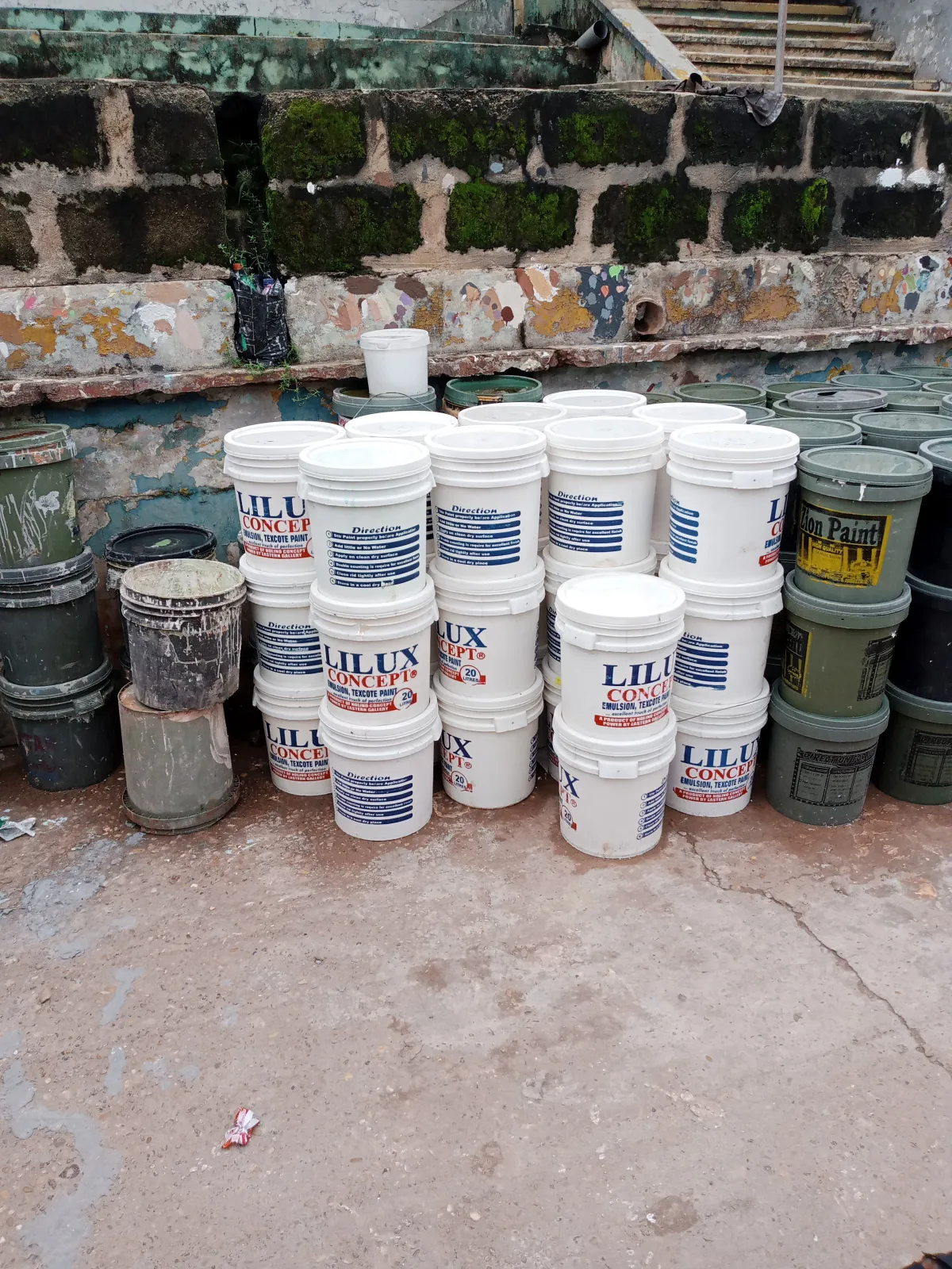 EFOLUX PAINT. - Image 1