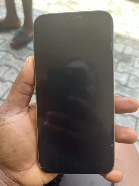 iPhone 12 Pro max