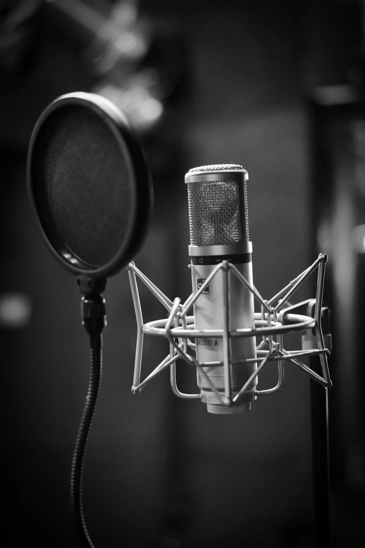 Condenser microphone in Benin city - Image 1