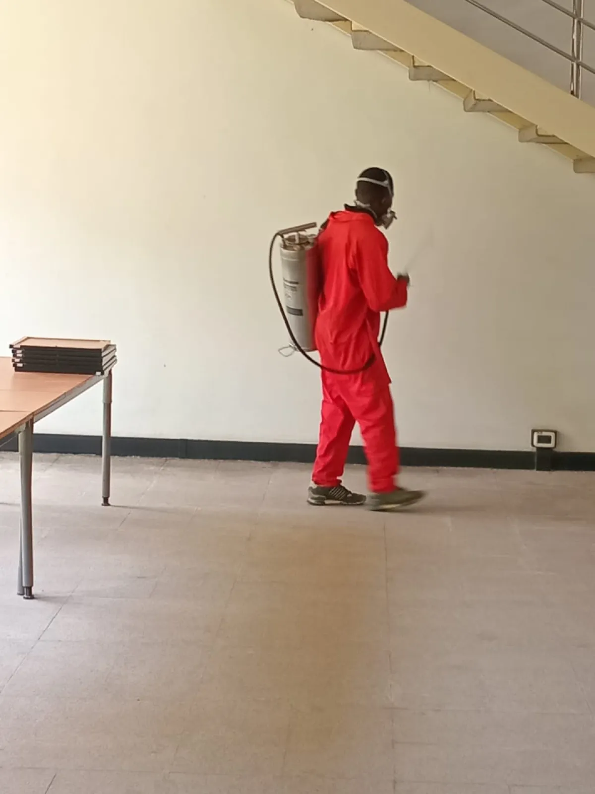 Goldspring Ecosolutions LTD Cleaning Fumigation Pest Control Service in - Image 2