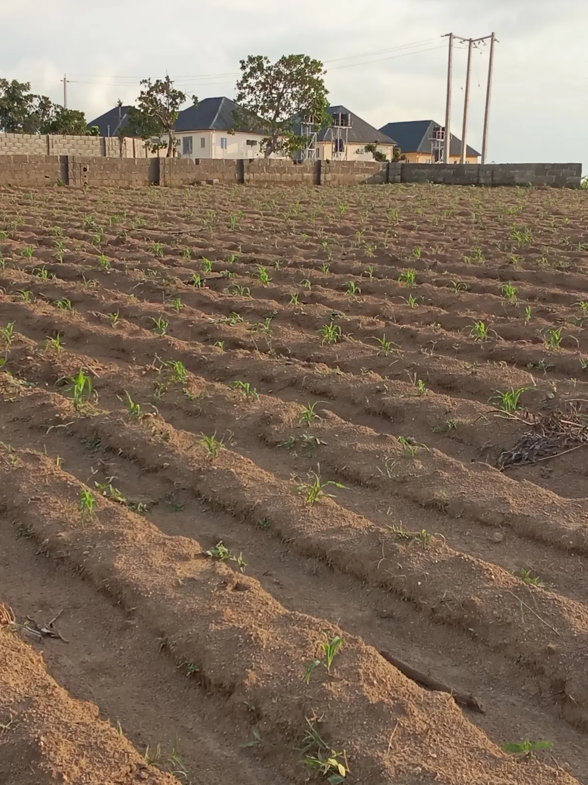 450 sqm Land for sale at Pearl Royal Estate in Lugbe FHA Abuja - Image 10