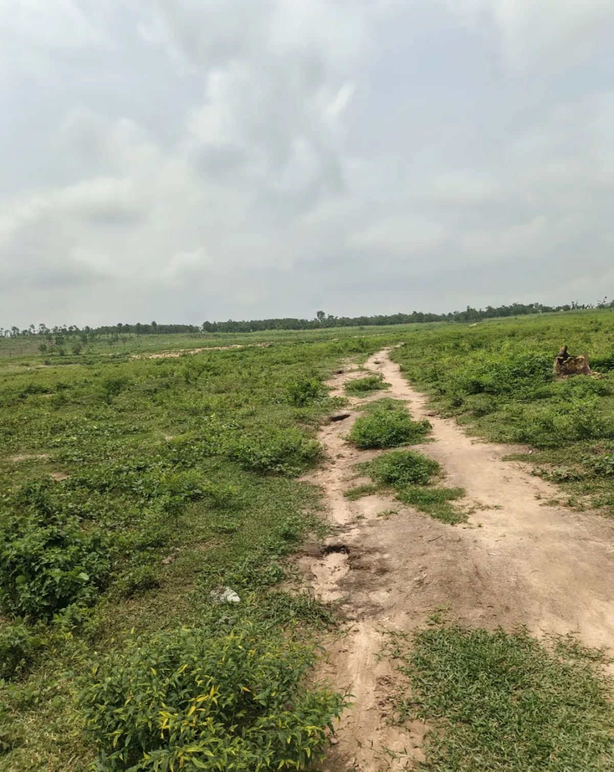 Estate land in karsana - Image 1