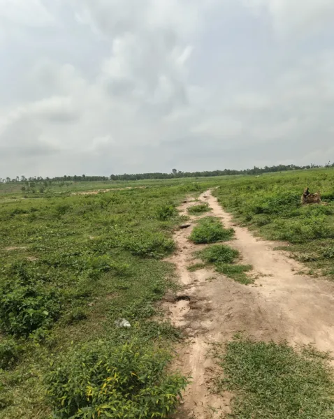 Estate land in karsana