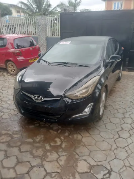 Hyundai Elantra model 014