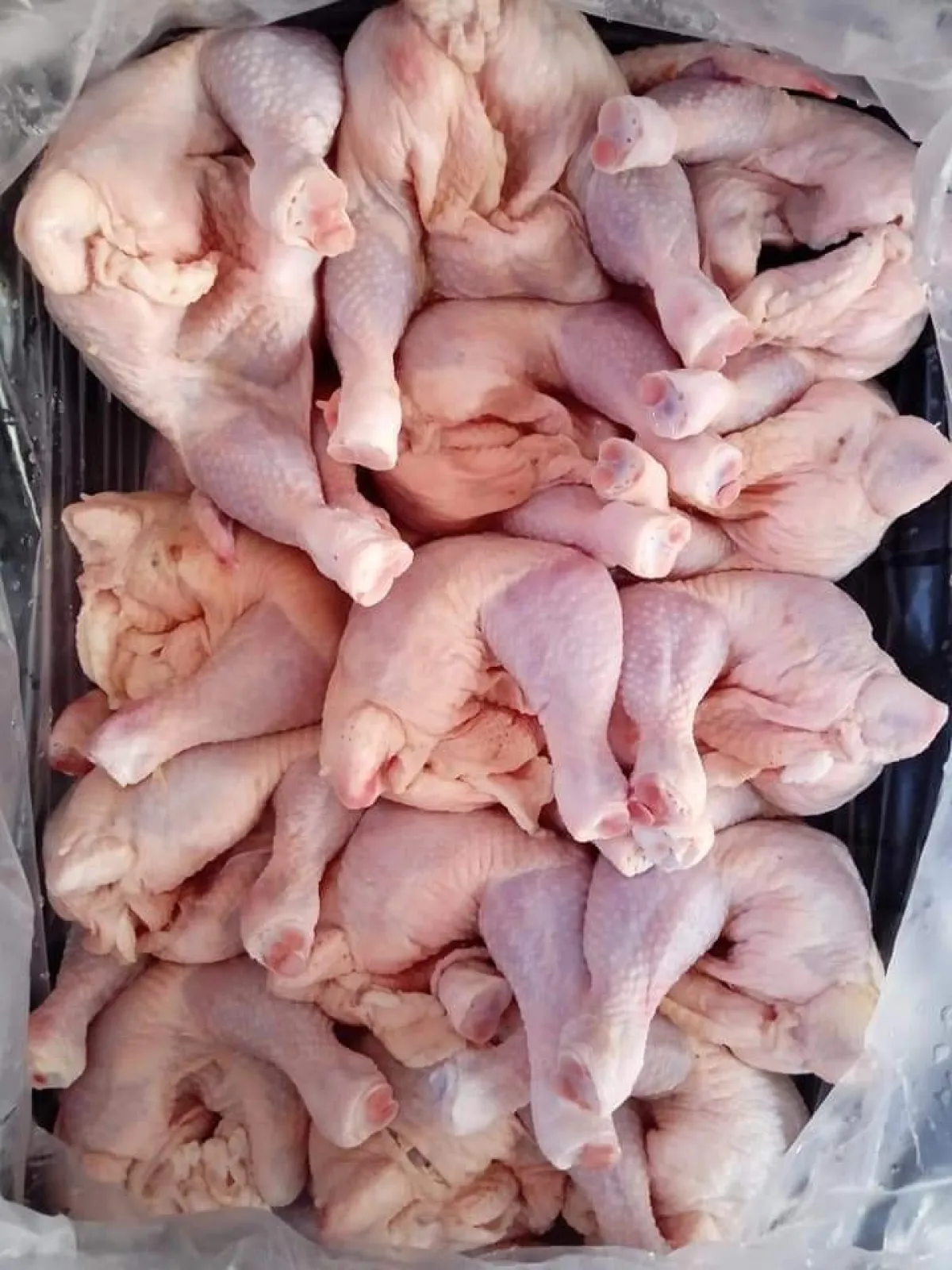 A FRESH AND HYGIENICALLY PROCESSED FROZEN CHICKEN - Image 3