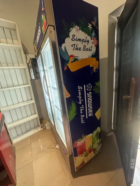 Snowsea Upright Cooler