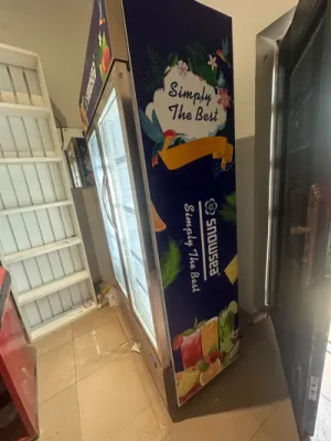 Snowsea Upright Cooler