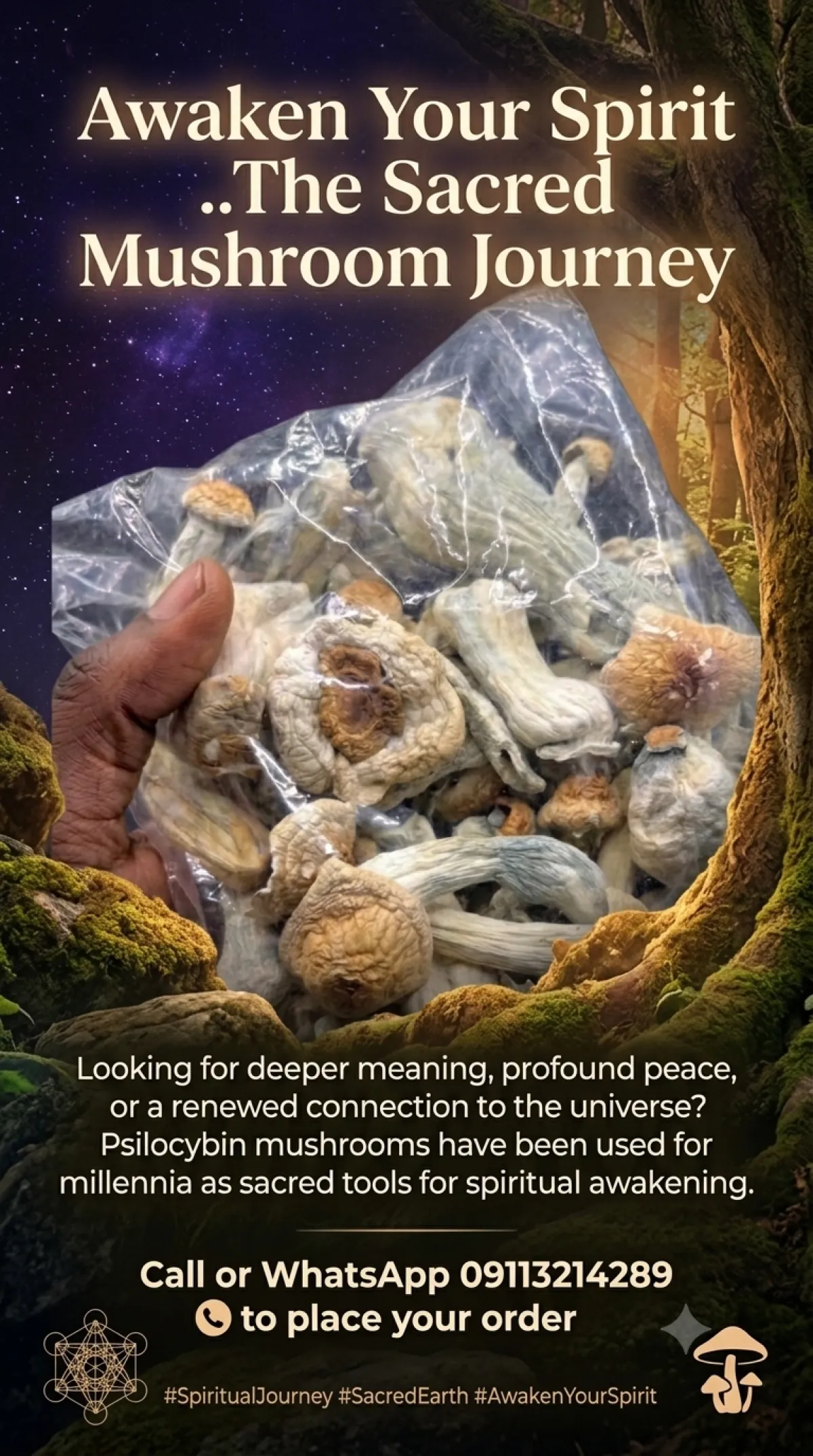 PSILOCYBING MUSHROOM - Image 1