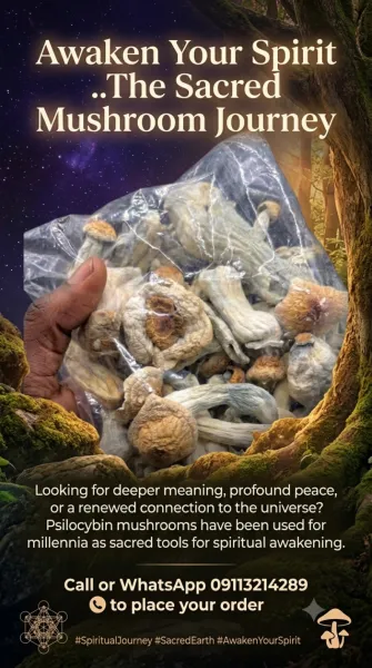 PSILOCYBING MUSHROOM