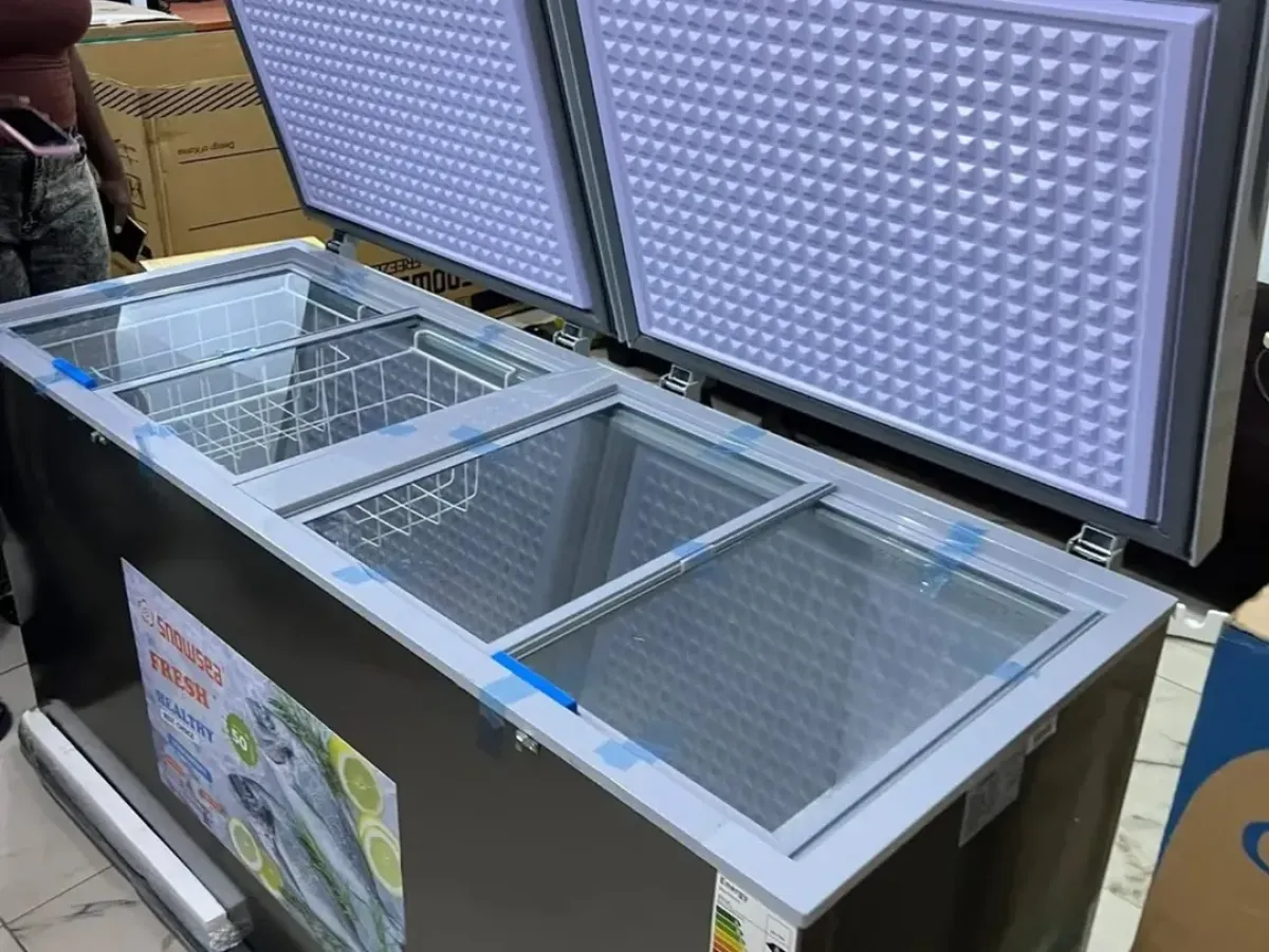 Double Doors Solar Deep Freezer - Image 2