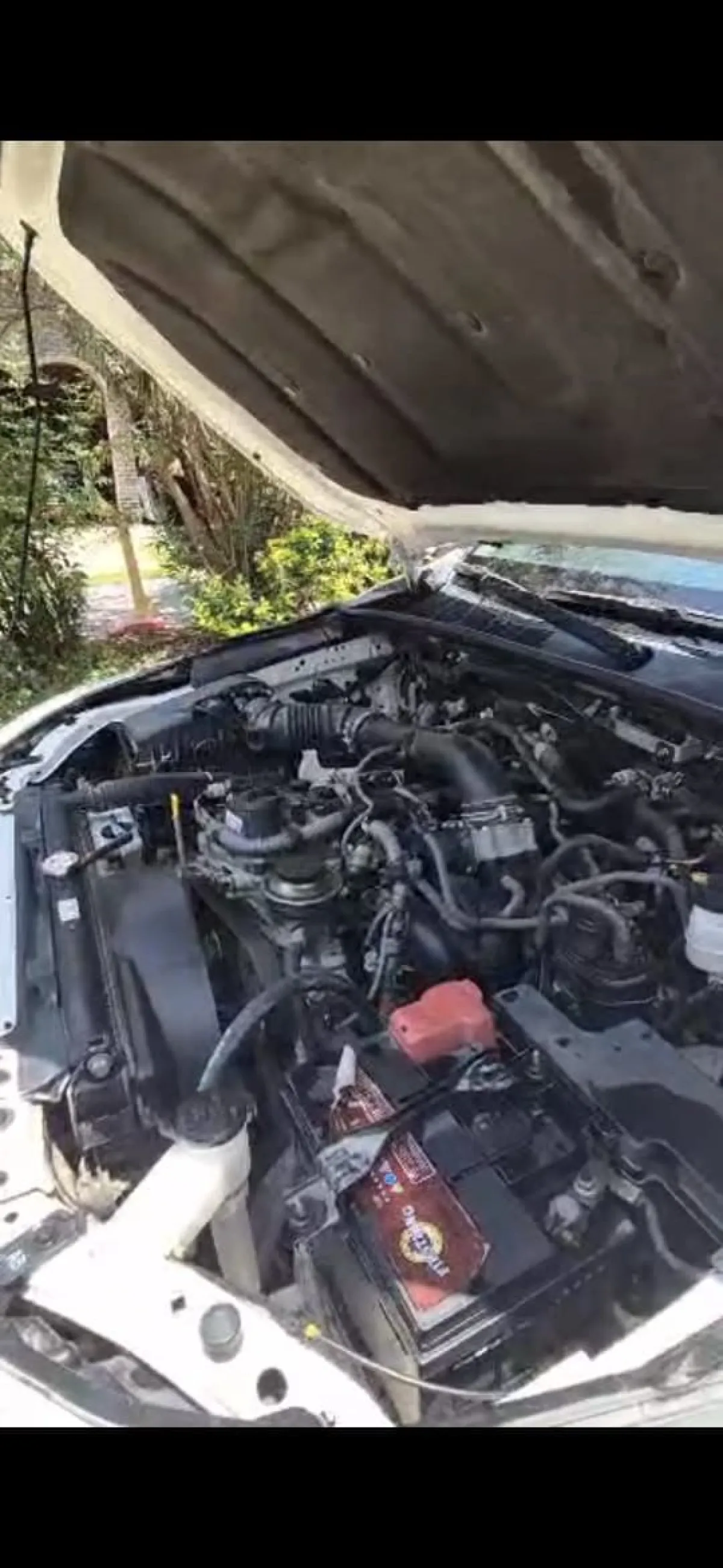 2019 TOYOTA HILUX MANUAL - Image 1