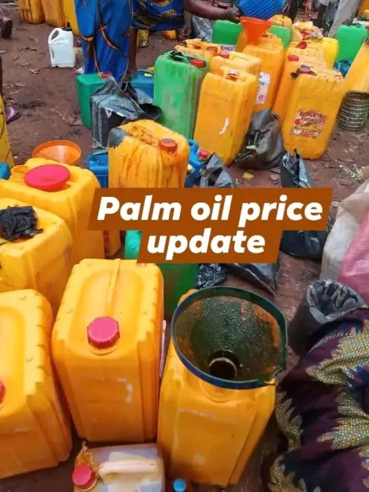 palm oil - Image 7