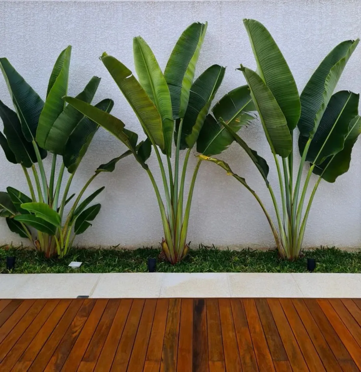 Landscaping service - Image 5