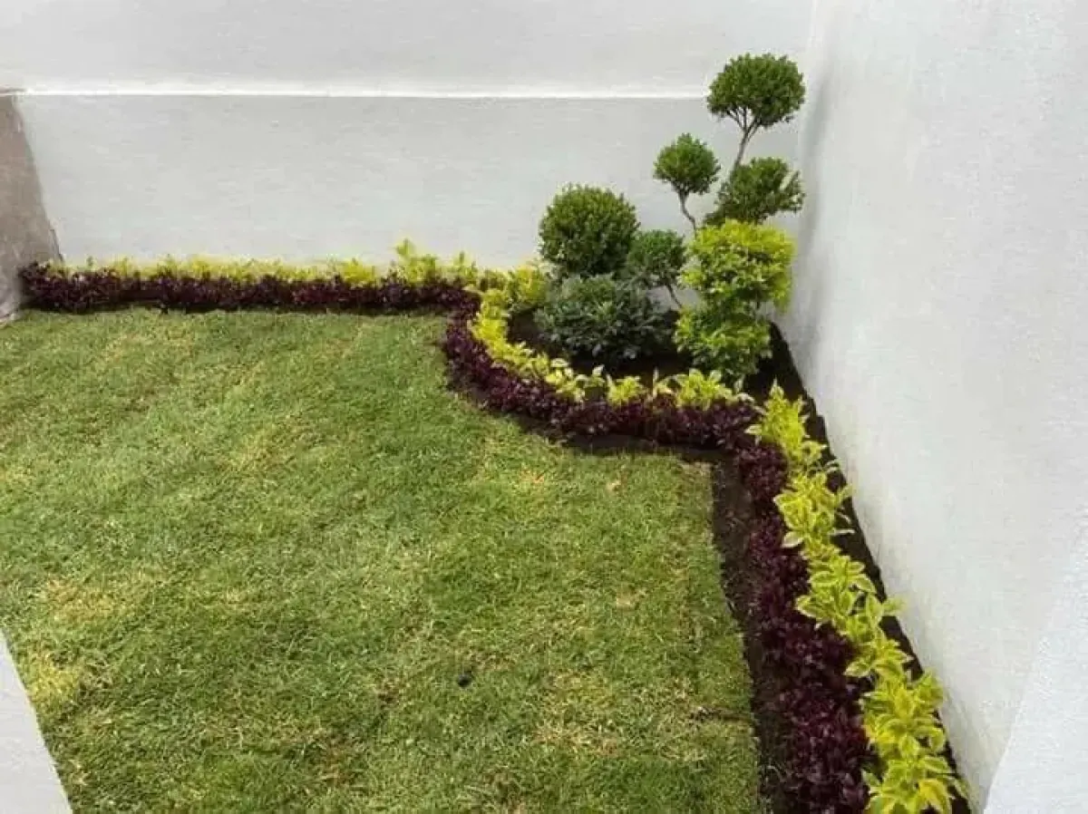 Landscaping service - Image 6