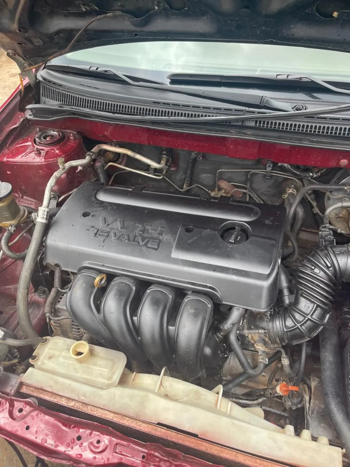 Toyota Corolla - Image 8