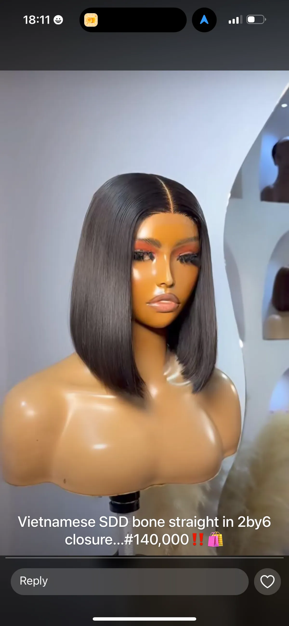 10inches 2x6 SDD Vietnamese bone straight wig - Image 3