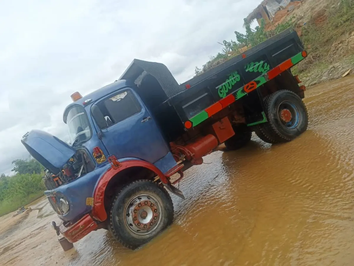 Tipper - Image 2