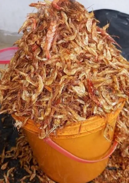 Oron Crayfish