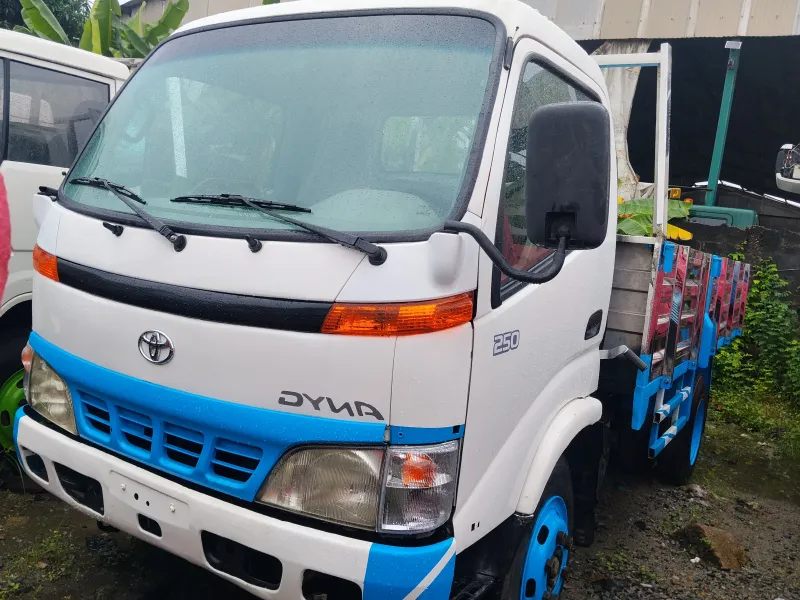 Toyota Dyna250