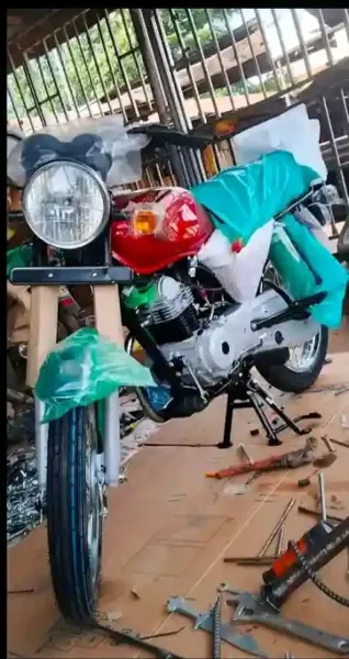 Boxer