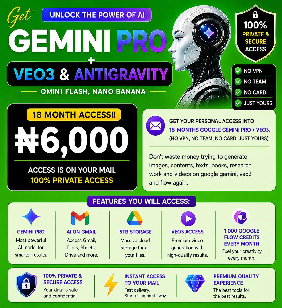 Gemini pro - Image 1